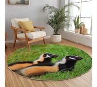 Générique Vert Tapis Rond Lavable en Machine 180 cm, Animal Skunk Meadow - Tapis Rond imprimé antidérapant à Poils Courts pour Salon, Chambre d'enfant, décoration de Chambre