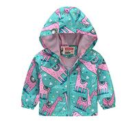 Générique Veste de Sport pour Garçons,Garçons Voiture DéContractéE Outwear Blouson Casual Baseball avec Capuche et Fermeture Clair Doux Chic Ample Le Cyclisme l'escalade