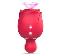 Générique Vibromasseur D'aspiration 2 En 1 Rose Sex Toy Avec 10 Modes De Succion Et 10 Modes De Gode De Poussée Pour Ventouse Clitoridienne Vibromasseur Point G Godes Mamelons Jouets Pour Adultes,A