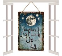 Générique Vintage Metal Signs | Rustic Dragonfly Moon Pendant Decoration