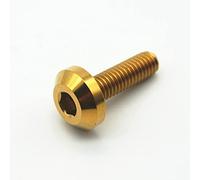 Générique Vis en Titane M6 M8 X 12 15 20 25 30 35mm for Frein à Disque de Moto, Fixations à Douille hexagonale en Ti, vis de Modification 6 pièces(Gold Color,M6X20MM_6PCS)