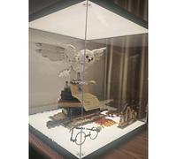 Générique Vitrine Acrylique Transparent Boîtes Acryliques À Double Éclairage 30, 40, 50 Cm, Vitrines Transparentes pour Objets De Collection/Modèles/Miniatures, Facile À Assembler(30x40x50cm)