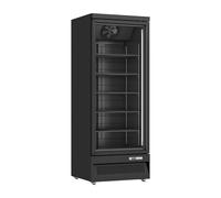 Générique Vitrine Réfrigérée Négative Libre-Service 560L - Porte Battante Vitrée - Congélateur