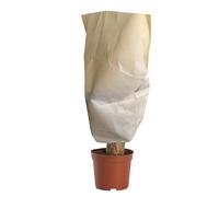 Générique Voile D'Hivernage pour Extérieures | Protecteur De Tronc Antigel Résistant Aux Intempéries | Couvre-Résistants Au Gel - pour Hiver Jardin Arbres Rosiers Légumes Fleurs