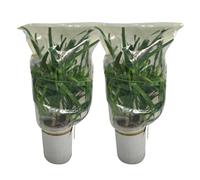 Générique Voiles d'Hivernage pour d'Extérieur,2 Pièces À Cordon avec Écran Solaire Visible - 100 x 120 cm Protection Hivernale pour Housses de | pour, Arbuste, Arbre, Légume, Fruit,