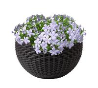 Générique Wall Flower Holder - Semicircle Woven Planter, Perfect Container for Indoor Plants, Orchids, Pothos, Balcony Garden Patio, Durable Decorative Planter for Flowers and, Stylish Display