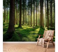 Générique Wallpaper Papier Peint Panoramique Rustique Forêt 150 x 105 cm Poster Geant Mural Intissé, Tacheté Ombre Pin Forêt Peinture Murale Papier Peint Salon Chambre