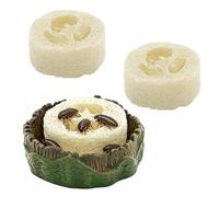 Générique Water Dish for Roach - Cockroach Water Basin & 3 Loofah Set, Reptile Feeding Drinking Dish with Loofah | Terrarium Food Feeder for Enclosure Terrarium Spider Gecko Roach Isopod Springtail