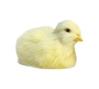 Générique Wind Up Simulation Chick Plush - Cute Chicken Stuffed Animal - Party Decoration Toy | Adorable Chick Plush Doll for Children’s, Interactive Wind-Up Easter Birthday Toy, Fun -Chicken