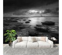 Générique XXL HD Amovible Papier Peint Photo RéCif CôTier Solitaire Intissé Décoration Papier Peint 250x175 cm Noir Et Blanc Facile à Installer Raccordement sans Couture Amovible Fresque Murale