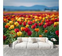 Générique XXL HD Amovible Papier Peint Photo Tulipes Aux Couleurs Vives Intissé Décoration Papier Peint 350x256 cm Rouge Facile à Installer Raccordement sans Couture Amovible Fresque Murale