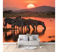 Générique Zèbre Papier Peint 3D Panoramique Intissé Papier Peint 450 × 315 cm Zèbre De La Rive Du Coucher De Soleil Photo Mural Moderne Poster XXL, Pour Salon Chambre Tv Fond Murale Décoration