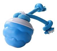 GéNéRiquequeue Mobile Interactive, Balle Intelligente pour Chien avec Mouvement Activé, Jouet USB Rechargeable pour Chiens De Petite Et Moyenne Taille