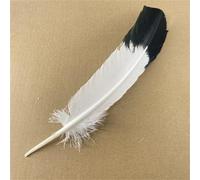 Generisch 10 Pièces Véritables Plumes D'Aigle Naturelles Pour Décoration Artisanat Dinde Faisan Oiseau Hibou Plumes Décor Plumes Accessoires Carnaval - 25-30 cm 10 Pièces