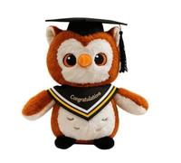 Generisch 2026 Chouette en peluche, avec chapeau de docteur, cadeau de remise de diplôme, doudou pour les universitaires, idée cadeau festive (F, A)