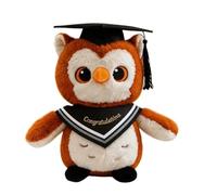 Generisch 2026 Chouette en peluche, avec chapeau de docteur, cadeau de remise de diplôme, doudou pour les universitaires, idée cadeau festive (D, A)