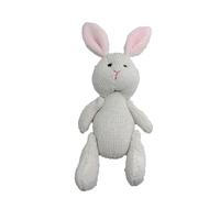 Generisch 2026 Doudou Accessoires de poupée Accessoires de poupée en tissu doux faits à la main Poupées en tissu Anniversaire Poupée tricotée Mignon Fille Poupée en peluche Ensemble de poupées tissées
