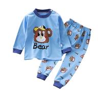 Generisch 2026 - Ensemble de pyjama pour petits garçons et filles animaux dinosaures en coton 2 pièces train tout-petits dessin animé vêtements de nuit automne famille pyjama, bleu ciel, 4-5 ans
