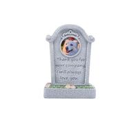 Generisch 2026 Figurine décorative en résine commémorative pour chats et chiens (B, 11,5 cm)