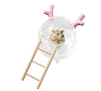 Generisch à Sable pour Hamster - à Sable spacieuse avec échelle - Espace funéraire Amovible et adapté au Lavage pour Petits Animaux de Compagnie tels Que Les Hamsters et Les