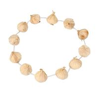 Generisch Accessoires de fête costumée d'Halloween, accessoires de performance taoïste, collier de poitrine à l'ail, pour chasser le mal, taille unique, Plastique