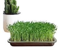 Generisch Bac à fleurs - En acier inoxydable résistant à la rouille - Grande capacité - Plateau de culture intérieur et extérieur pour haricots, herbes, jardin à la maison, jardinage de bureau, kit de