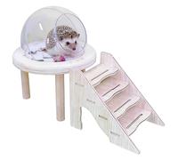 Generisch Bac de bain de sable transparent pour hamster - Toilette pour petits animaux - Bain de chinchilla transparent avec échelle - Pour gerbille, hérisson, toilettage, cage, décoration d'enclos