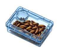 Generisch Bartagamen - Bol anti-évasion avec séparation de la nourriture, pour terrarium, habitat, terrarium, maison, bureau, tortue, cancer d'établissement et araignée