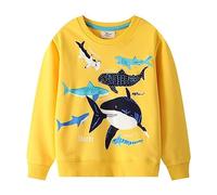Generisch Bébé Pulli 56 Garçon Garçon Imprimé Manches Longues Pull Col Rond Tops Pull Pâques Garçon, jaune, 2-3 ans