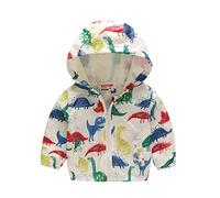 Generisch Bébé tout-petit dinosaure arc-en-ciel camouflage fermeture éclair coupe-vent veste avec capuche trench manteaux légers pour enfants coupe-vent vêtements d'extérieur décontractés costumes de