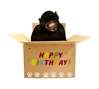 Generisch Biglietto Auguri Compleanno Divertente | Cartone Animato Festivo | Regalo Simpatico per Ragazza, Ragazzo, Idéal pour Amici, Famiglia, Party, Festa di Compleano