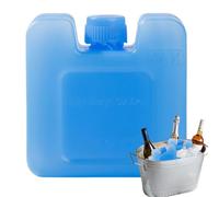 Generisch Bloc de glace pour glacière - Boîte à cristaux de glace carrée pour bouteille - Refroidisseur d'air par évaporation - Plateau de transport de chaîne de refroidissement pour lait maternel