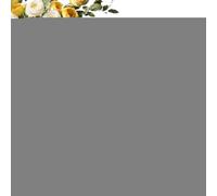 Generisch Bouclier de bureau en acrylique - Décoration de Noël 2D avec traîneau du Père Noël - Figurine sur pied - Décoration parfaite pour les vacances d'hiver pour dortoir, salon et lieu de travail