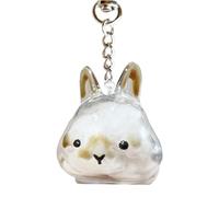 Generisch Capsule de rangement en poils de lapin - Porte-clés transparent avec sac d'organisation miniature pour animal de compagnie - Cadeau souvenir mignon - Bouteille commémorative pour un