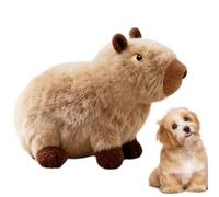 Generisch Capybara Jouet en peluche pour chien avec couineur pour chiens de petite, moyenne et grande race, nettoyage des dents