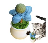 Generisch Catnip Toys - Pot de fleurs - Bâtonnets de boules dentaires naturelles pour chatons Silvervine Chew Sticks de divertissement Fournitures pour animaux de compagnie pour jouer à la mâchoire