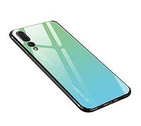 generisch Coque pour Huawei P20 Pro, Verre Trempé Arrière en Dégradé + Bords Couvrants Silicone TPU Souple Hybride Étui Antichoc Anti Rayures Case pour Huawei P20 Pro (Vert-Bleu)