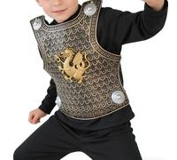 Generisch Costume de chevalier pour enfant - En polypropylène - 37,5 x 33,5 cm - Armure médiévale légère - Déguisement pédagogique pour voyage, Halloween, fête, scène, festival