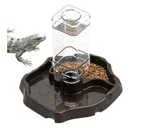 Generisch Eau de tortue terrestre amovible incassable | Gamelle pour lézards, geckos, serpents, tortues d'eau, grenouilles, tortues terrestres