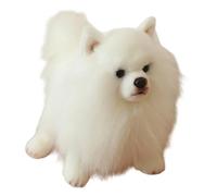 Generisch Empathie Building Jouet en peluche douce pour chien pour liaison familiale, poupée d'accompagnement, figurine de poméranie réaliste, chien en peluche