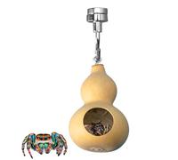 Generisch Enclos pour araignées sauteuses - Nid d'araignée sauteuse avec magnétisme qui cache un nid - Enclos en citrouilles naturelles pour décoration mignonne
