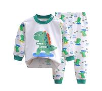 Generisch Ensemble pyjama pour petits garçons et filles dinosaures animaux coton 2 pièces train tout-petits dessin animé vêtements de nuit vêtements d'automne Noël hiver, Vert menthe., 1-2 ans