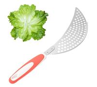 Generisch Escurridor De Verduras En Acero Inoxidable - Accesorios Compactos De Cocina para Hogar Residencia Y Restaurante | Placa Escurridor para Lavar Alimentos |