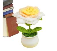 Generisch Fleurs au crochet, roses tricotées, fleurs crochetées à la main | Décorations de bureau au crochet floral, dégradé de couleur, petites en pot colorées, fleurs de bureau pour maman et