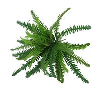 Generisch Fougère artificielle de Boston, fausse plante d'extérieur | Plantes artificielles et plantes vertes résistantes aux UV, fougères artificielles flexibles en plein air, plantes artificielles