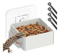 Generisch Gecko Ensemble gamelle à fixation murale pour reptiles gecko léopard, barbe, caméléon, terrarium, petits reptiles