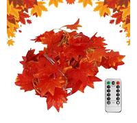 Generisch Guirlande lumineuse d'automne pour l'intérieur - USB - Feuilles d'automne - Avec minuterie - 8 modes d'éclairage d'ambiance - Avec télécommande - Pour l'intérieur et l'extérieur - Pour