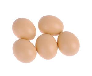 Generisch Help Egg Eggs Lot de 5 œufs factices en plastique pour poule (comme sur l'image, taille unique)
