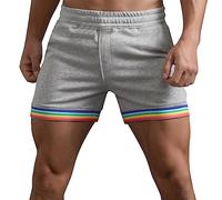Generisch Hommes Été Couleur Unie Arc-en-Ciel Pantalon Poche Cordon de Serrage Ample Décontracté Sport Course Course Short Droit Shorts Plage Pantalons Élégant Shorts Hommes, gris, S