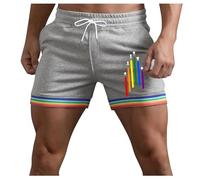 Generisch Hommes LGBT Arc-en-ciel Été Couleur Unie Arc-en-ciel Pantalon Poche Cordon de Serrage Ample Décontracté Sport Course Shorts Droits Shorts Plage Pantalons, Gris clair., XL